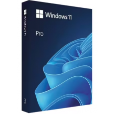 Microsoft Windows 11 Pro (처음사용자용 한글)
