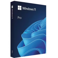Microsoft Windows 11 Pro (처음사용자용 한글)
