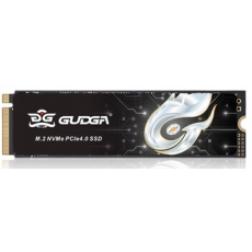 GUDGA GXF M.2 NVMe (512GB)