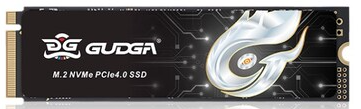 GUDGA GXF M.2 NVMe (512GB)